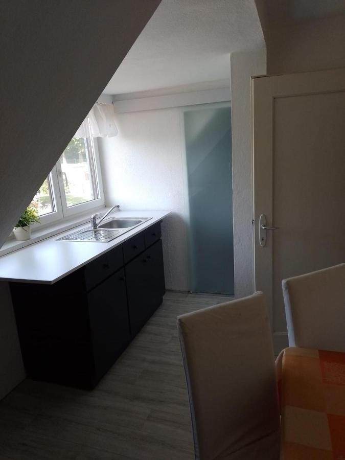 Apartment Biesnitz Görlitz Exteriér fotografie